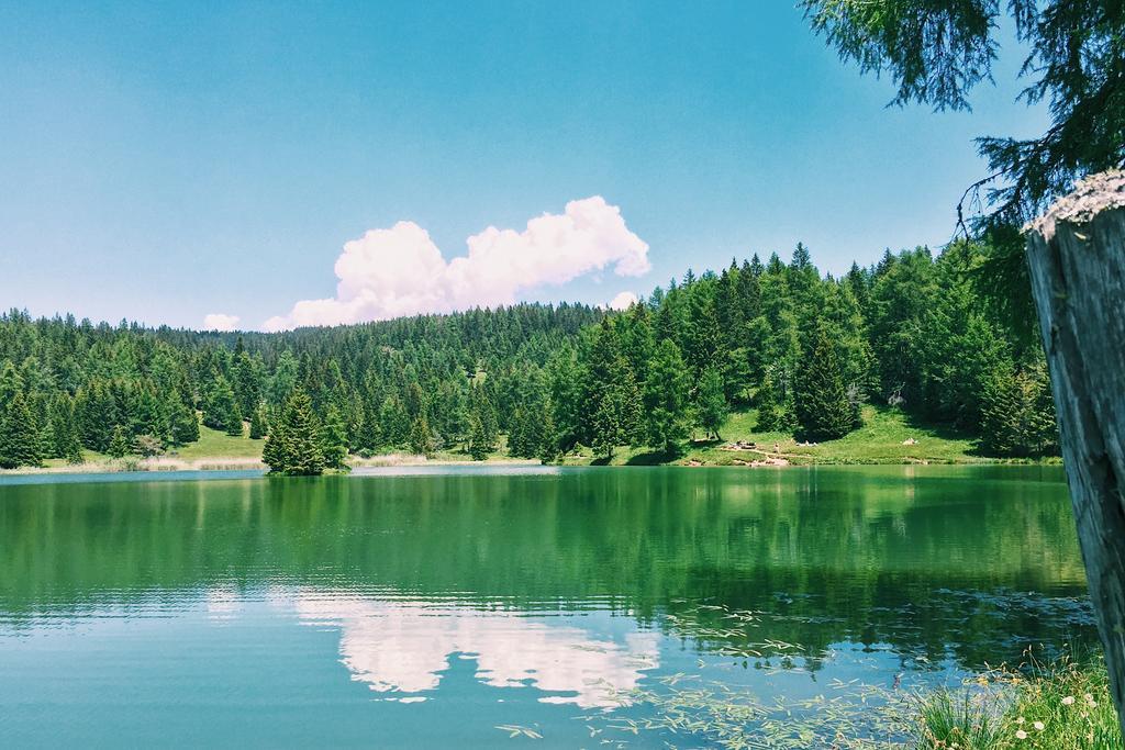 Berggasthof Pension Pfitscher Unsere Liebe Frau im Walde Εξωτερικό φωτογραφία